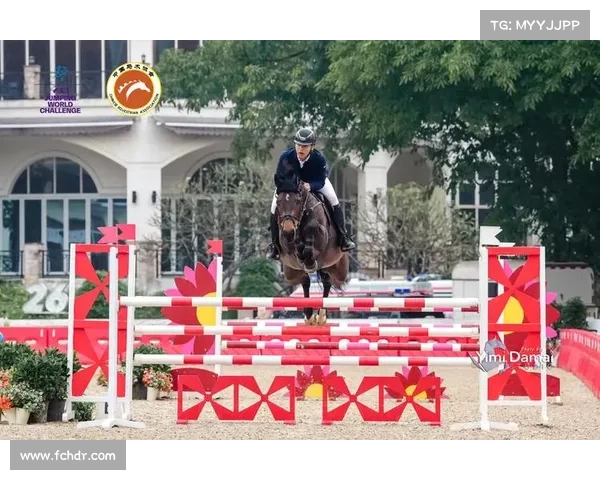 达喀尔青奥会武术测试赛将于11月举行 中国队名单尚未公布 达喀尔青奥会武术测试赛将于11月举行 中国队名单尚未公布